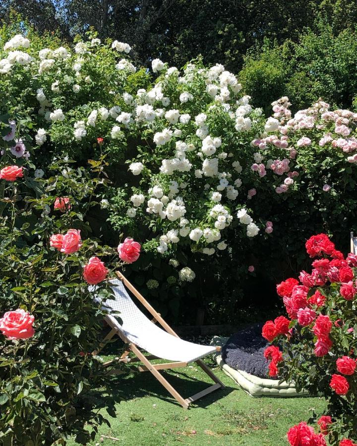 Bed and Breakfast Lulu En Provence LʼIsle-sur-la-Sorgue Exteriér fotografie